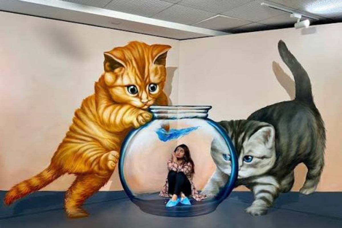3D