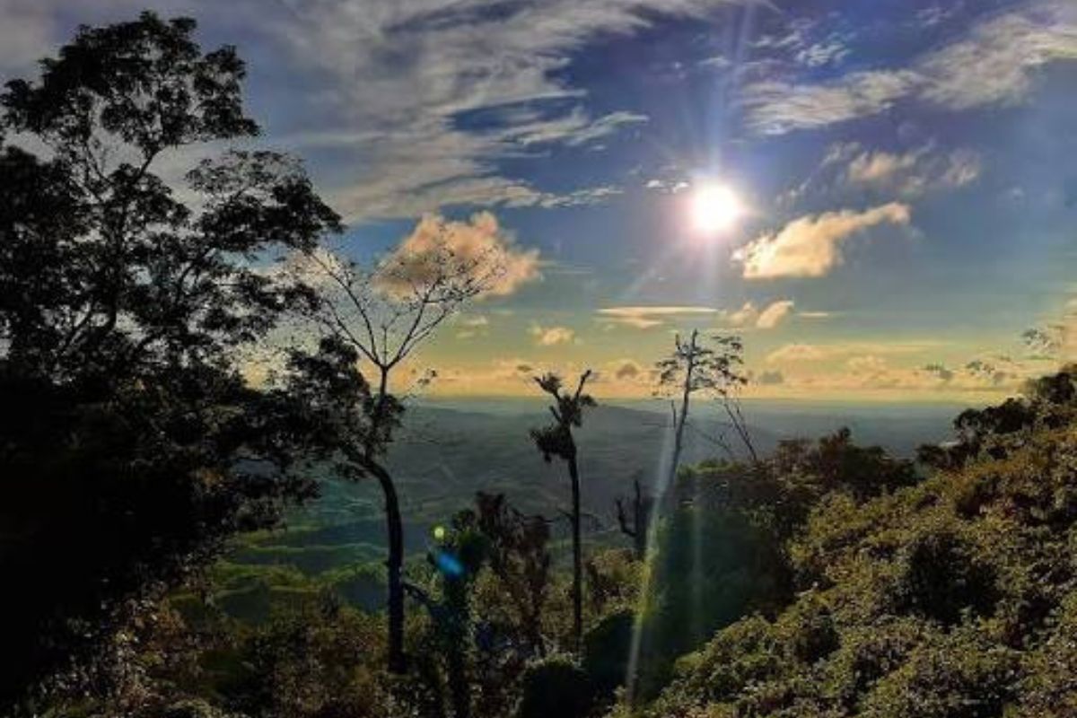 nilgiri