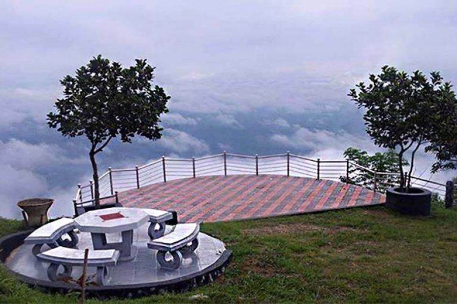 nilgiri