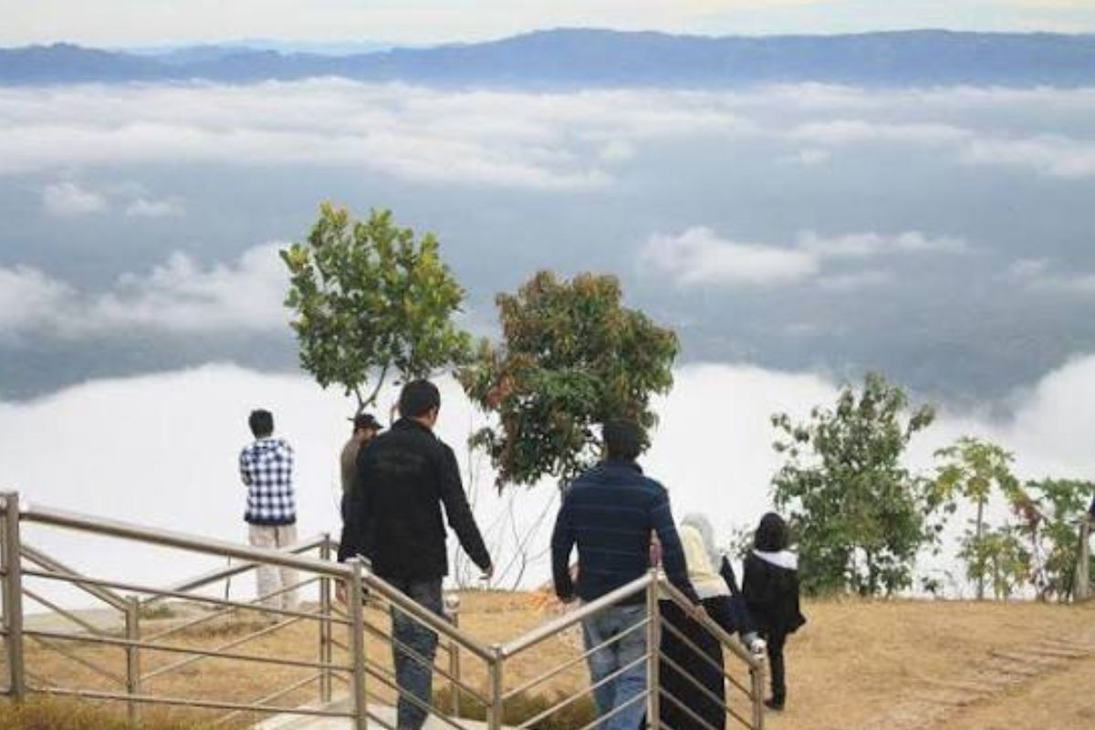 nilgiri