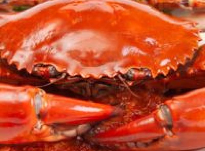 patega