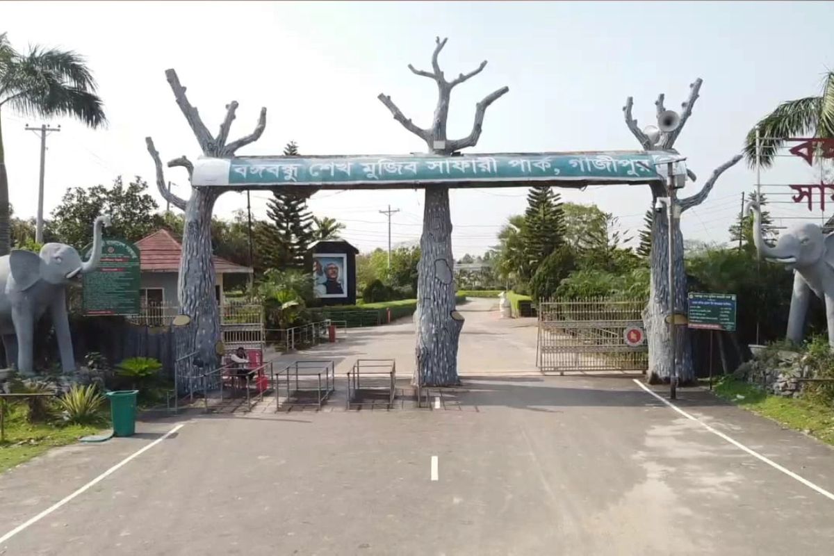 safari park