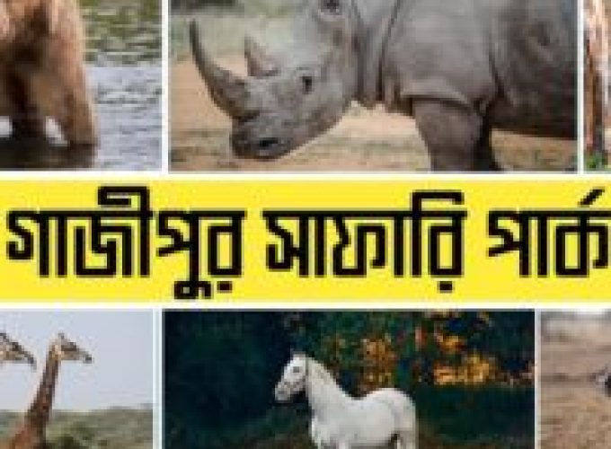 gazipur safari park