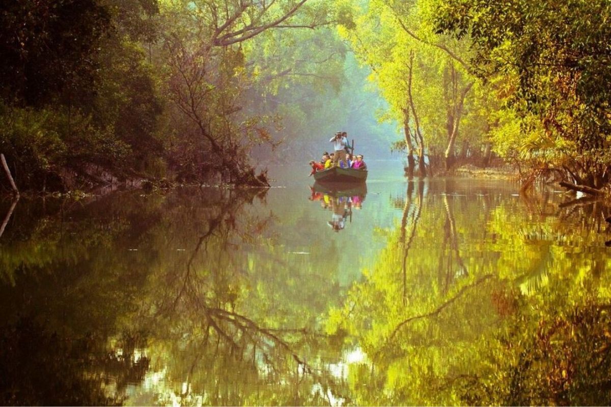 sundarban