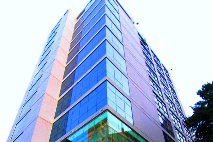 Bengal Blueberry