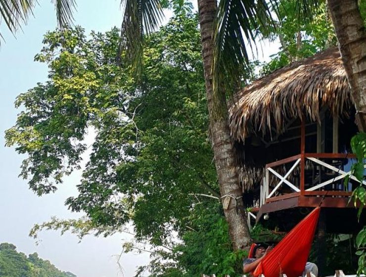 Chitra Resort