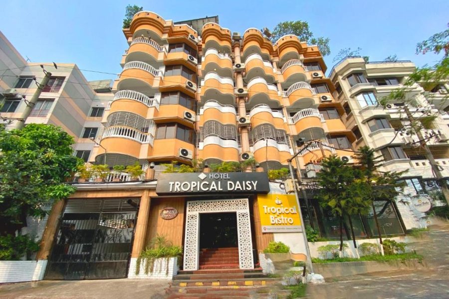 Tropical Daisy – Lake View